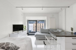Scandinavian attic apartment in the city center
